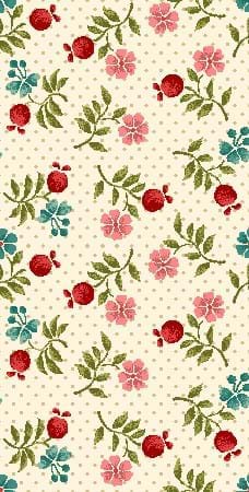 Yeoville Tiny Calicos